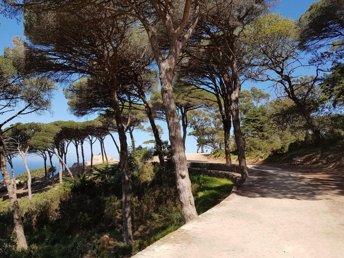 Tanger Cap Spartel - Duplex 110M2 Face Aux Plages Exterior foto